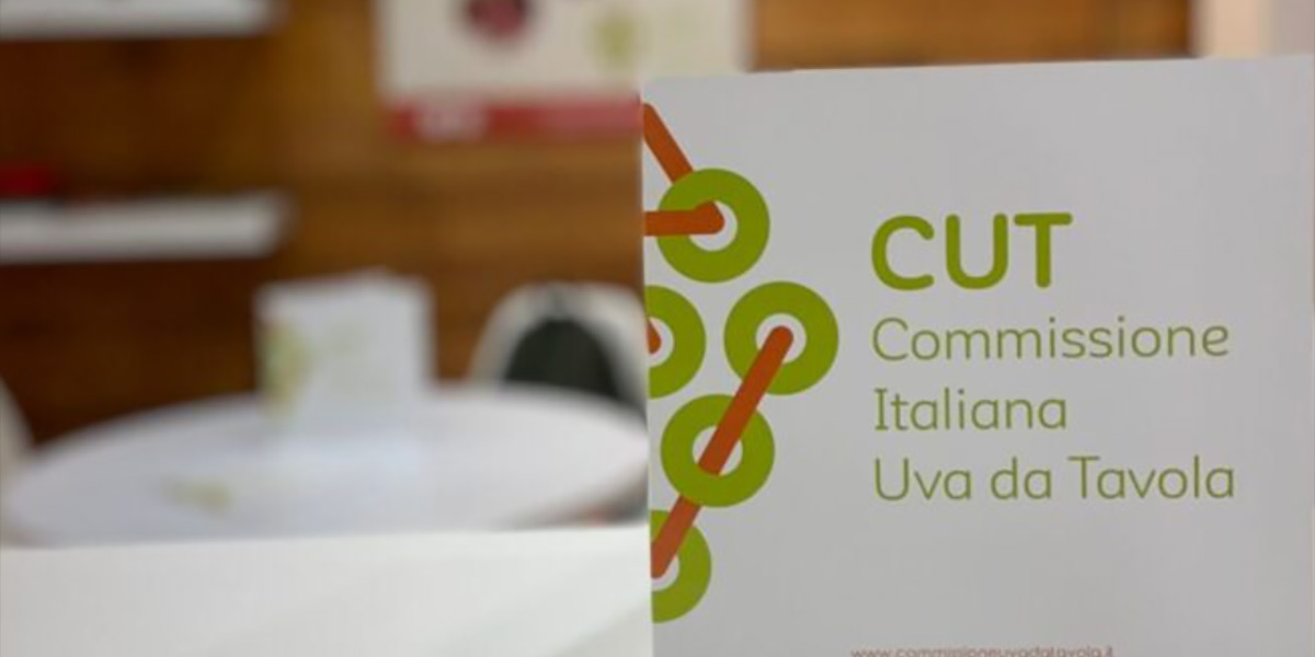 Uva da tavola italiana, buone premesse per la stagione 2025